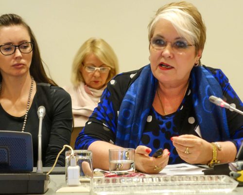 carol presenting bpw danube net businesswomen forum, ‘women in digital economy’ 2017, vienna, austria